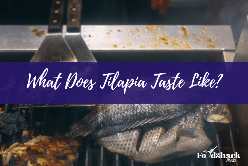 What Does Tilapia Taste Like And How To Improve It? Food Shark Marfa
