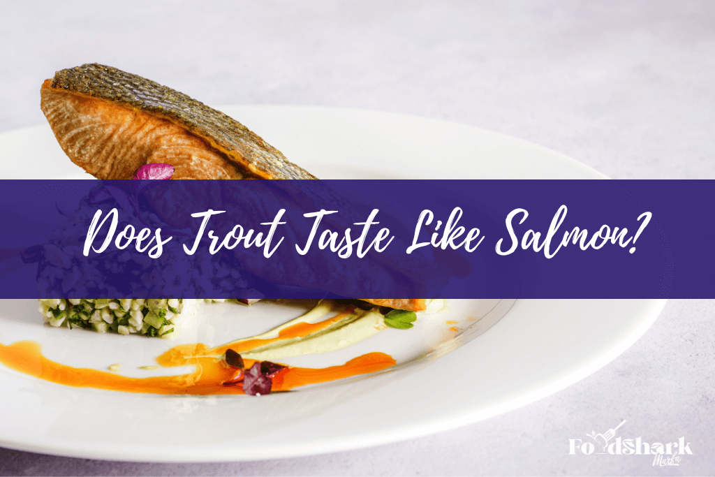 Does Trout Taste Like Salmon?
