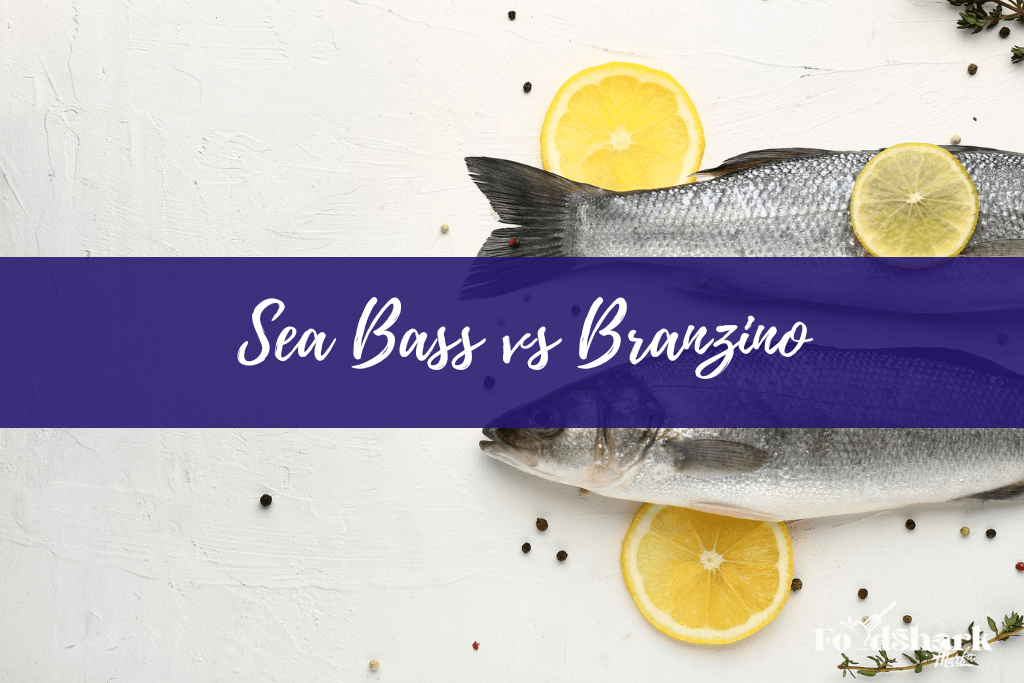 Sea Bass vs Branzino