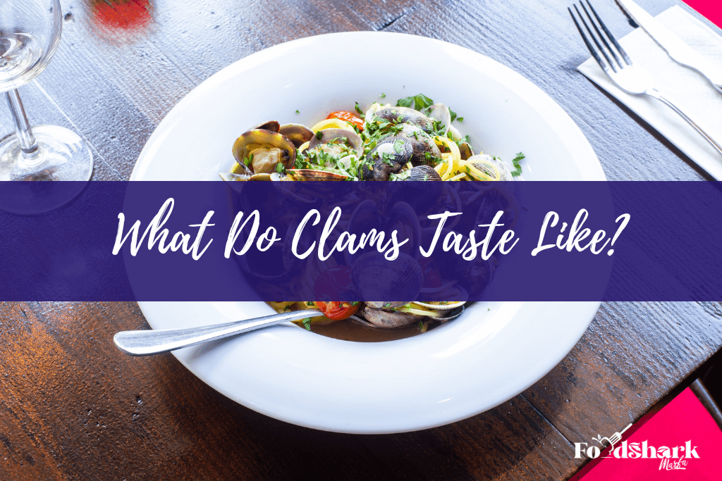 What Do Clams Taste Like