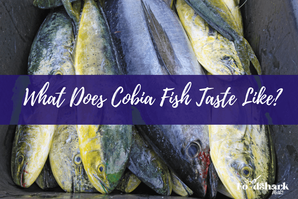 What Does Cobia Fish Taste Like