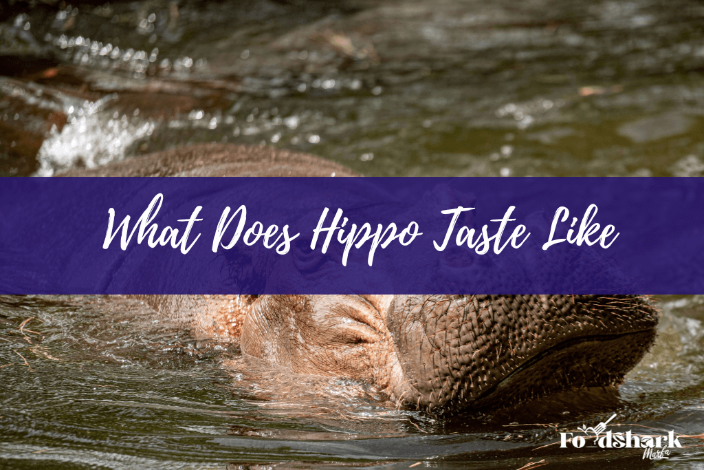 What Does Hippo Taste Like