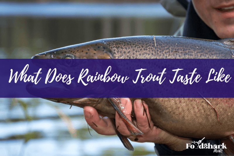 What Does Rainbow Trout Taste Like? Food Shark Marfa