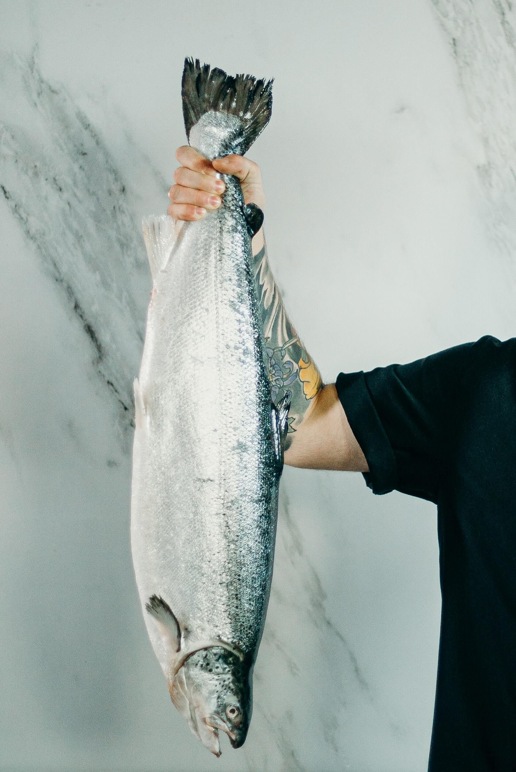 What Does Salmon Look Like What Does Salmon Look Like