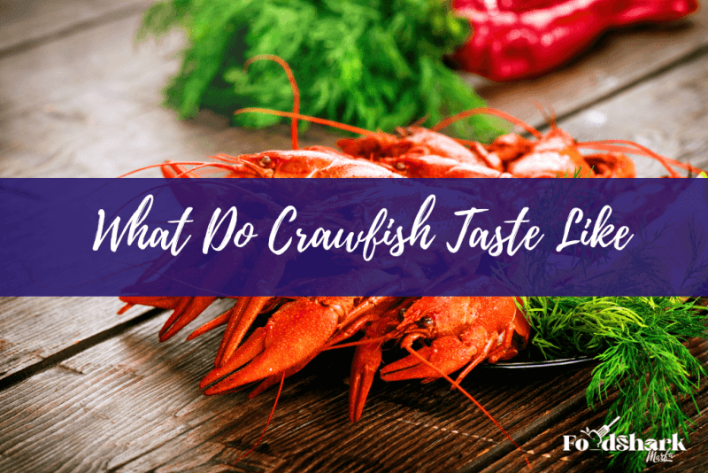 What Is Crawfish And What Does It Taste Like? Food Shark Marfa