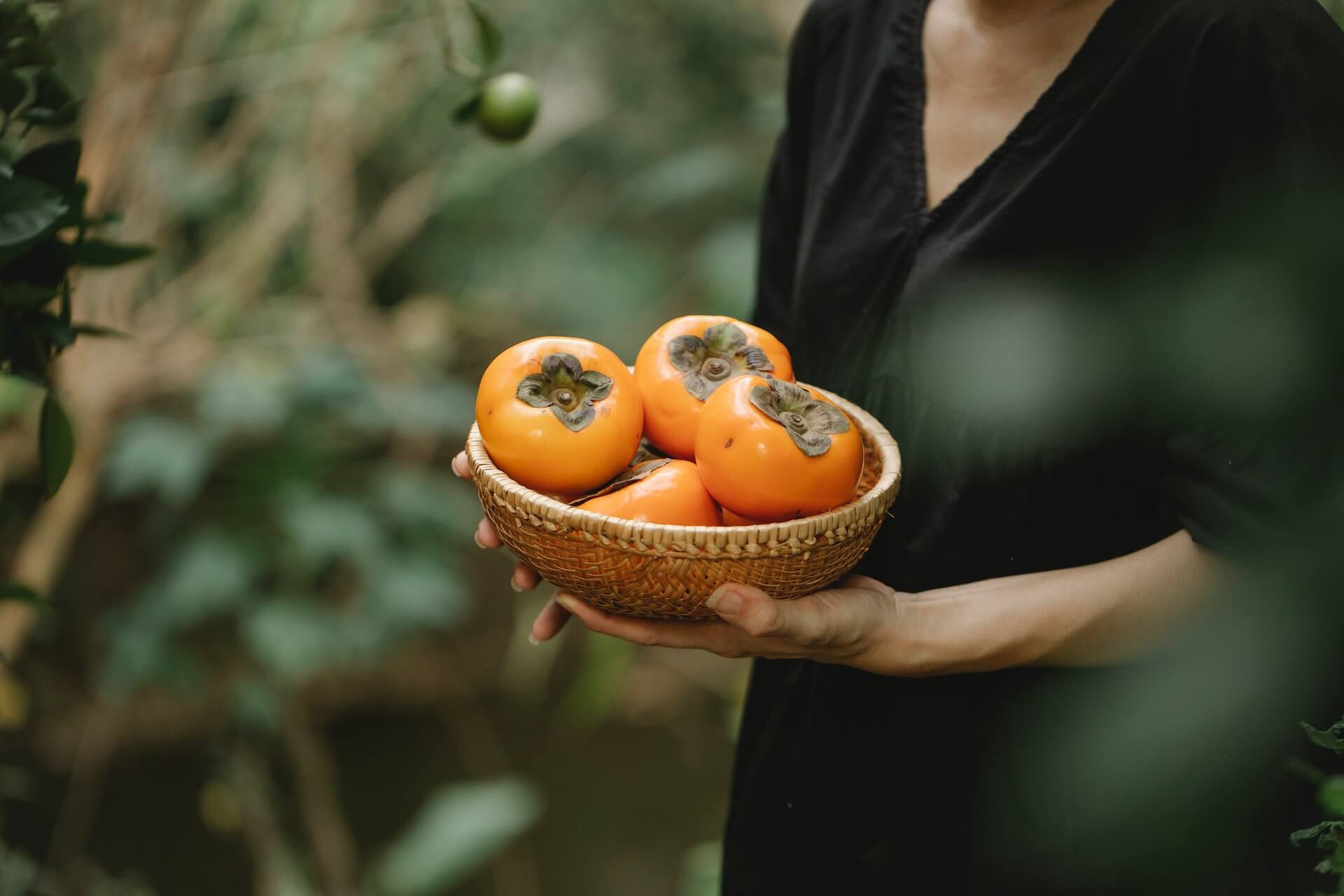 Can you grow persimmons at home Can you grow persimmons at home