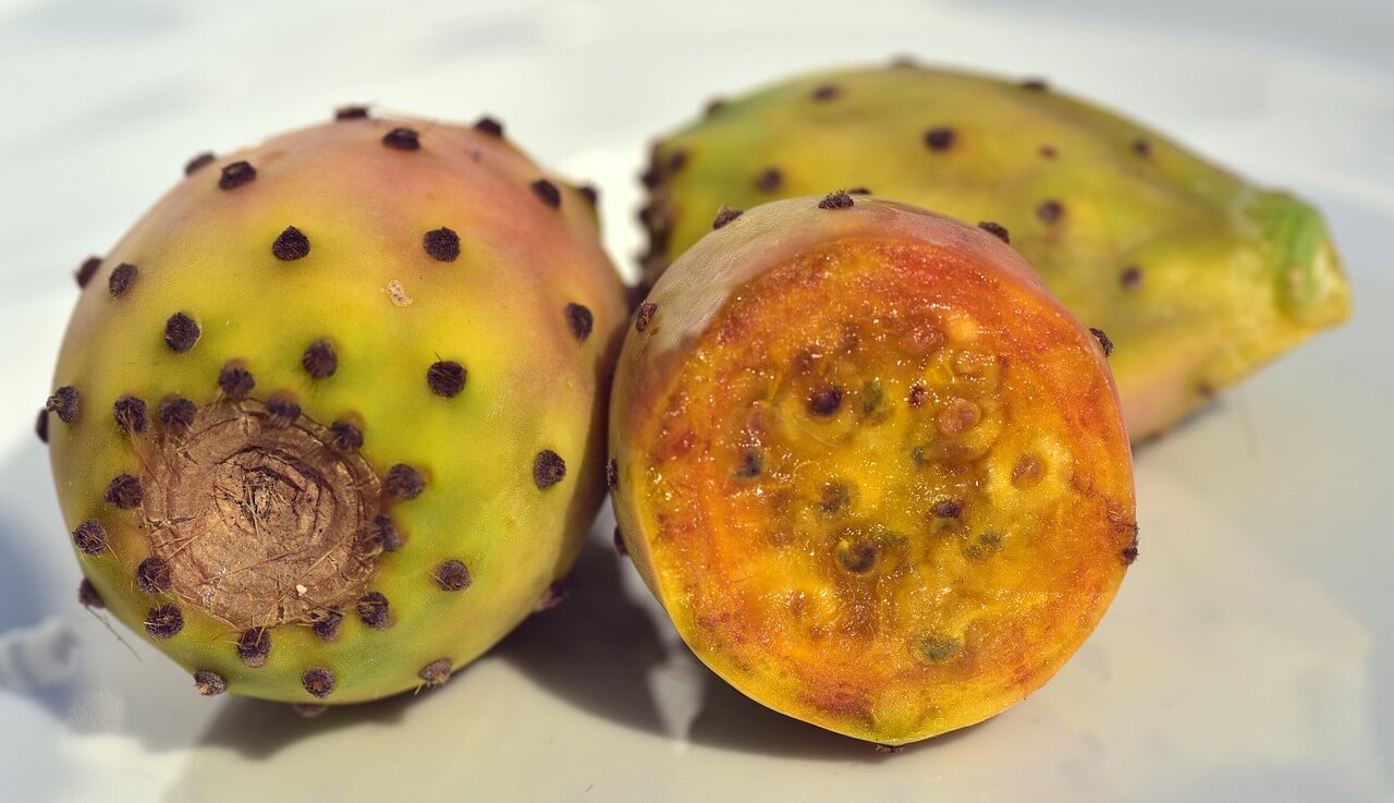Is It Safe to Eat Cactus Is It Safe to Eat Cactus