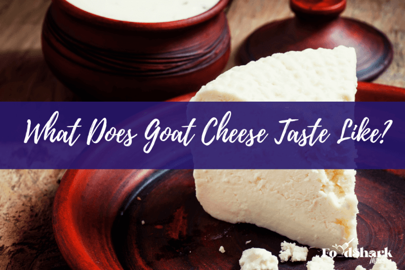 What Does Goat Cheese Taste Like? Food Shark Marfa