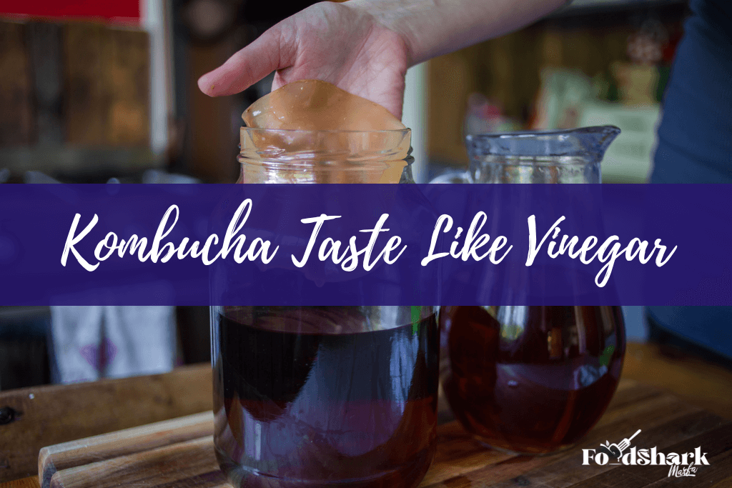Kombucha Taste Like Vinegar