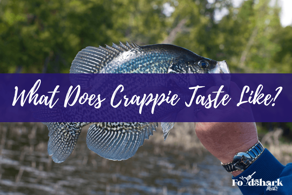 What Does Crappie Taste Like