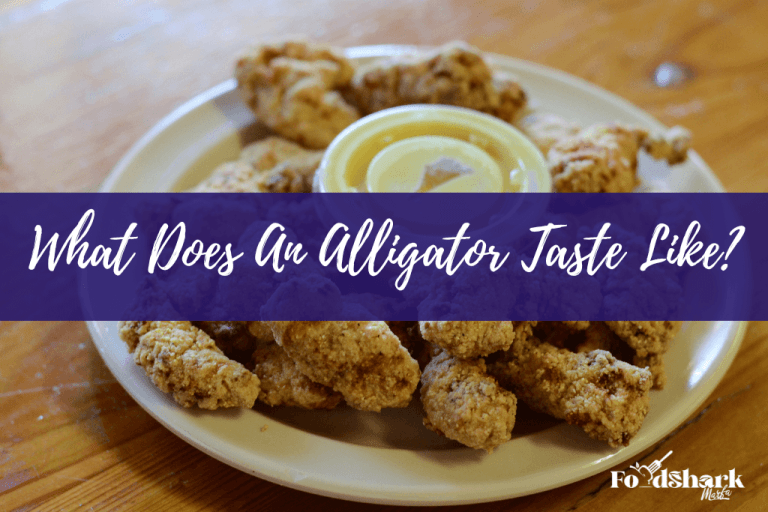 What Does An Alligator Taste Like? Food Shark Marfa