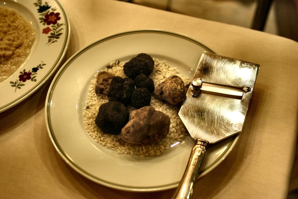 White Truffle Oil Vs Black Truffle Oil What are the differences? Food Shark Marfa