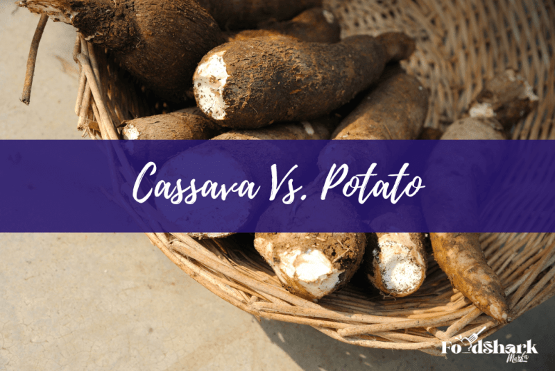 Cassava Vs. Potato Which is better? Food Shark Marfa
